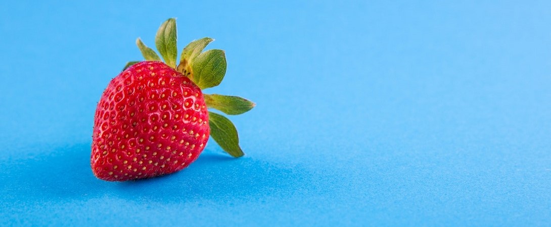 a single strawberry with a blue background