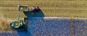 aerial view of tractors harvesting wheat