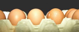 eggs in an egg carton