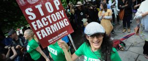 woman protesting against factory farming with a sign