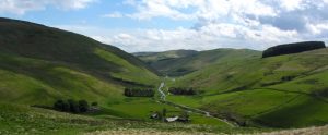 green valley with a river running through it