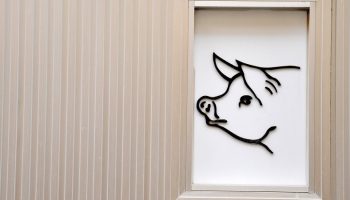 a pig drawn on a white wall