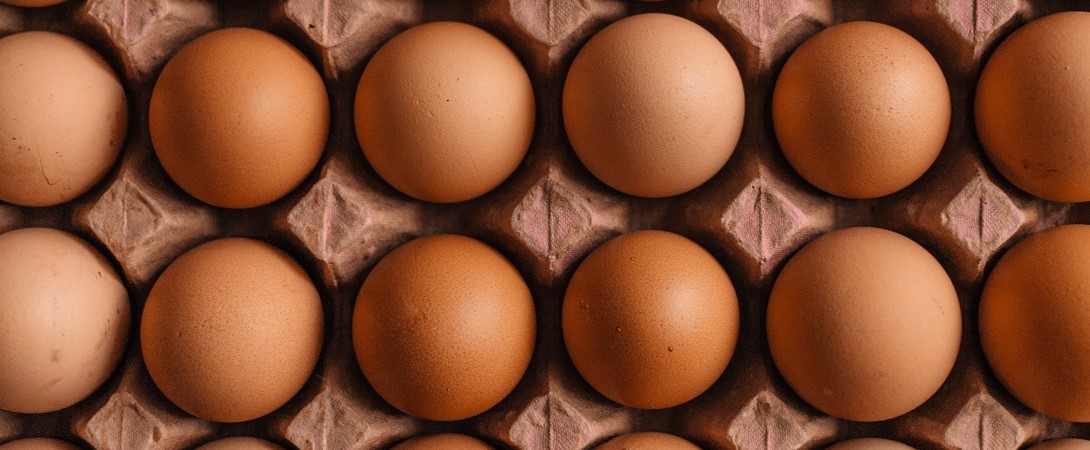 eggs in a carton