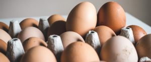 carton of eggs