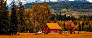 a farmhouse in the woods