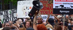 large animal activist march