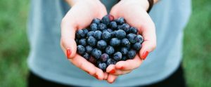 woman clasping blueberries in her hands