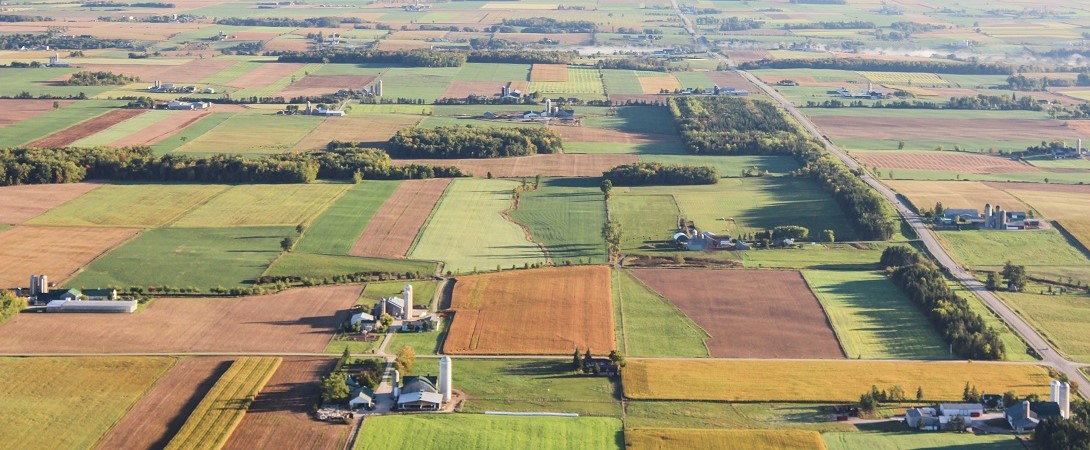 aerial photo of agricultural farm land