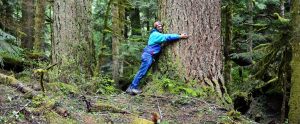 man hugging a large tree