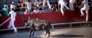 Spaniards running away from a bull
