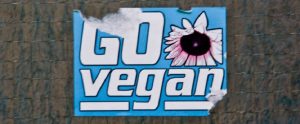 the words "Go Vegan" on a sticker attached to a wall