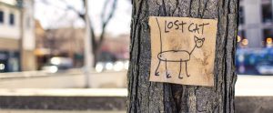a drawing of a lost cat posted on a tree