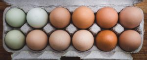 a carton of a dozen different coloured eggs