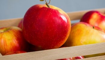 bright red apples in a box