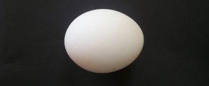 duck egg with a black background