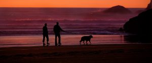 an elderly couple walking a dog on the beach