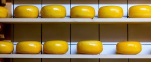rows of cheese wheels on two shelves