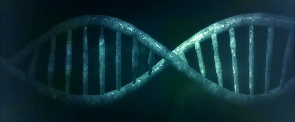 Opinions On Genetic Manipulation Of Animals In The U.S. - Faunalytics