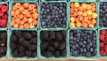 different coloured berries in containers in a row