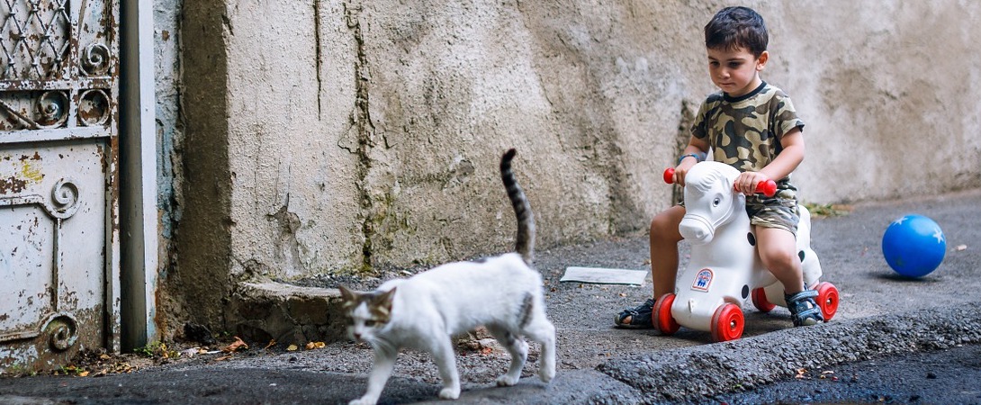 child playing on a toy next to a stray cat
