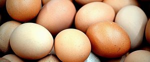 close up of a group of eggs