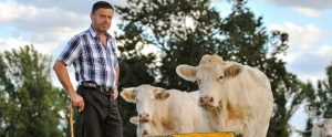 a farmer standing next to his cows