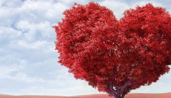 a red heart shaped tree