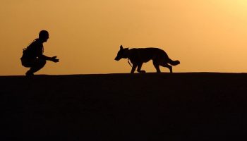 the silhouette of a man about to embrace a German Shepard