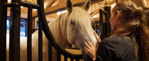 a woman petting her white horse