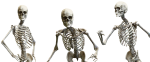 three skeletons in various poses