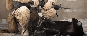 working army dog lying on its back next to a soldier