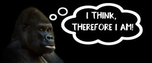 a gorilla with a thought balloon next to him that says "I think therefore I am"