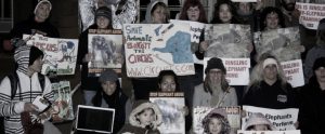 animal rights protest against circuses