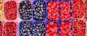 berries in plastic containers