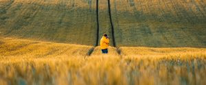 a man in a yellow jacket standing in a wheat field