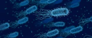 group of blue bacteria