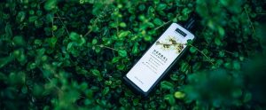 herbal shampoo lying on leaves in nature