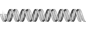 cartoon image of DNA helix structure