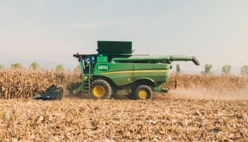 farmer harvesting wheat with a tractor