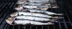 dead fish lying side by side on a grill