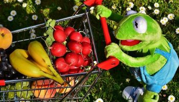 Kermit the Frog stuffed toy pushing a shopping trolley with fruit in it