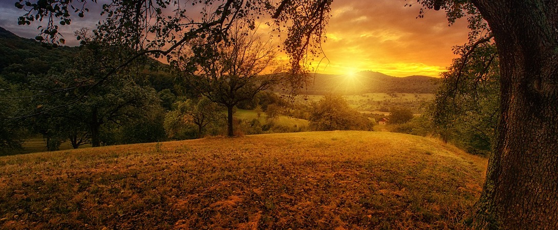 scenic view of nature with a sunset