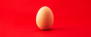 one egg with a red background