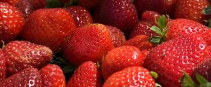 strawberries