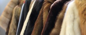 fur coats hung on a clothes hanger