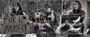 animal rights activists with signs protesting against animal exploitation