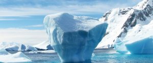 icebergs in the ocean