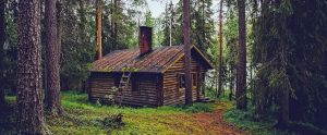 damaged country house surrounded by forests