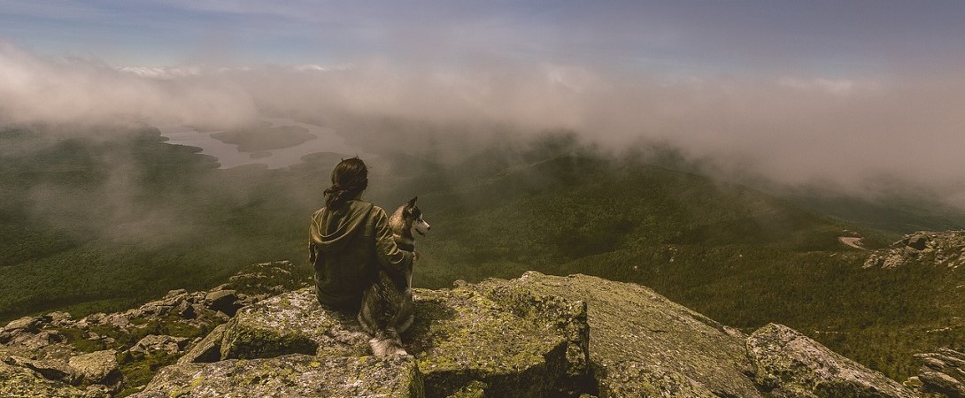 a woman with her dog on a mountain looking down on the forest below