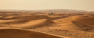 an empty desert with a few trees